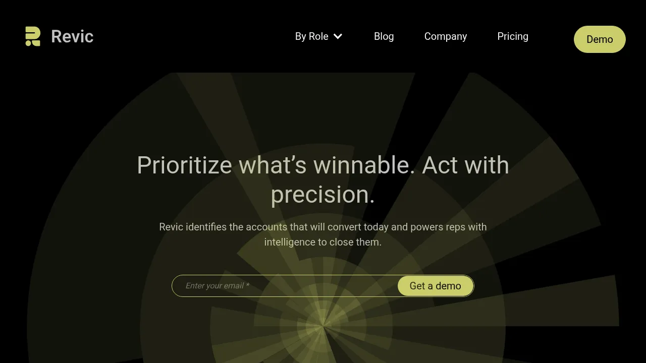 Revic AI screenshot
