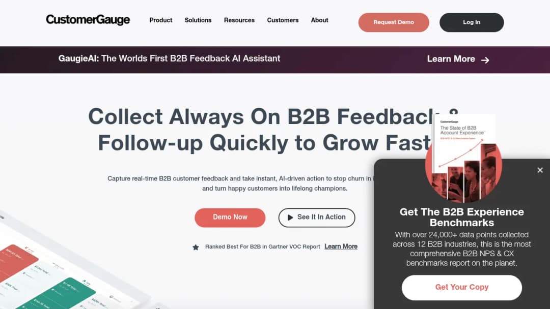 CustomerGauge screenshot