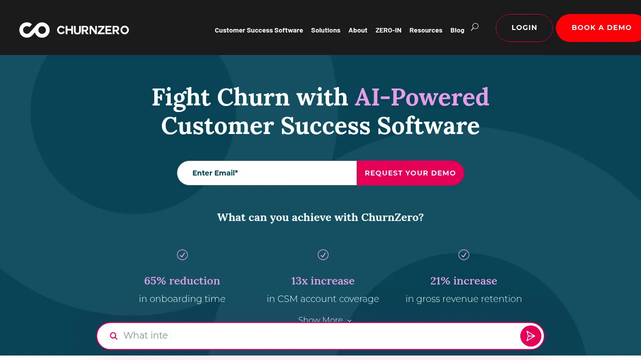 ChurnZero screenshot