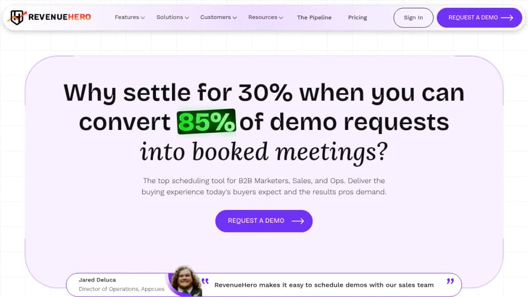 RevenueHero screenshot