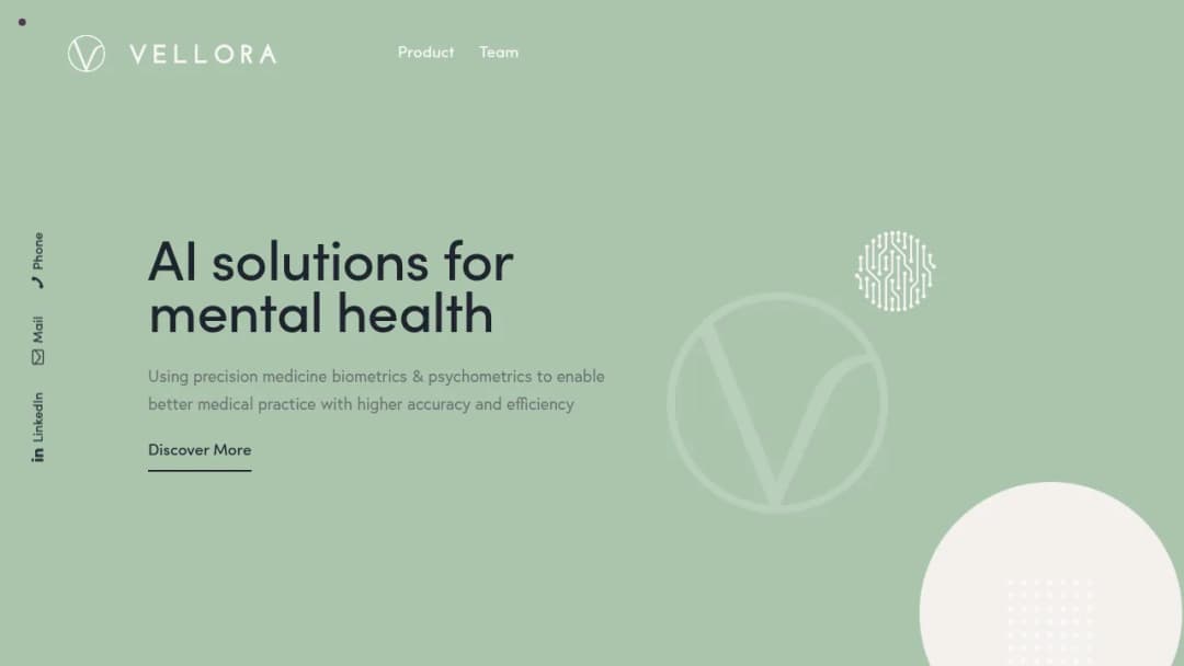 Vellora.ai screenshot