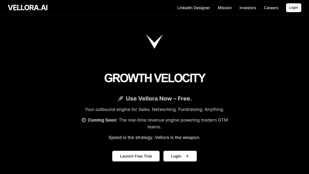 Vellora.ai screenshot