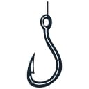 Hook Security