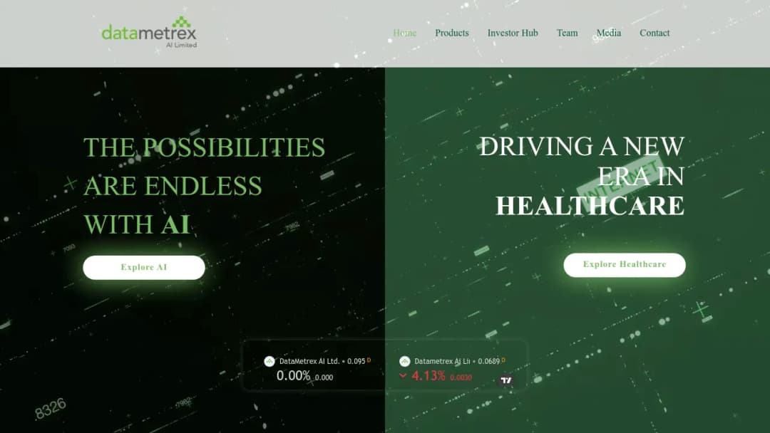 Datametrex AI screenshot