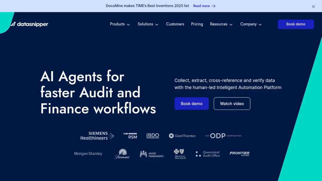 Datasnipper screenshot