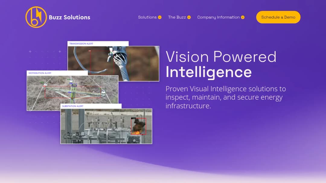 Buzz Solutions screenshot