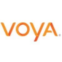 Voyc AI