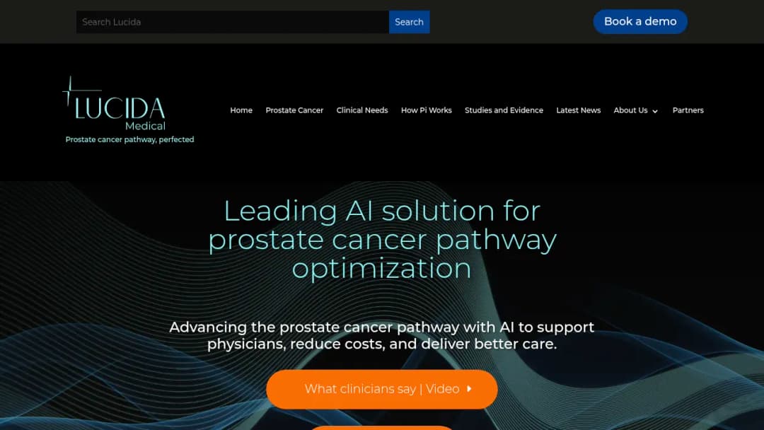 Lucida Medical screenshot