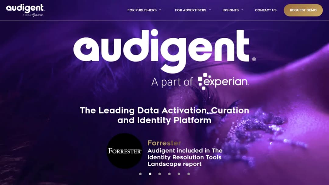 Audigent screenshot