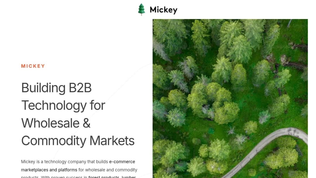 Mickey Group screenshot