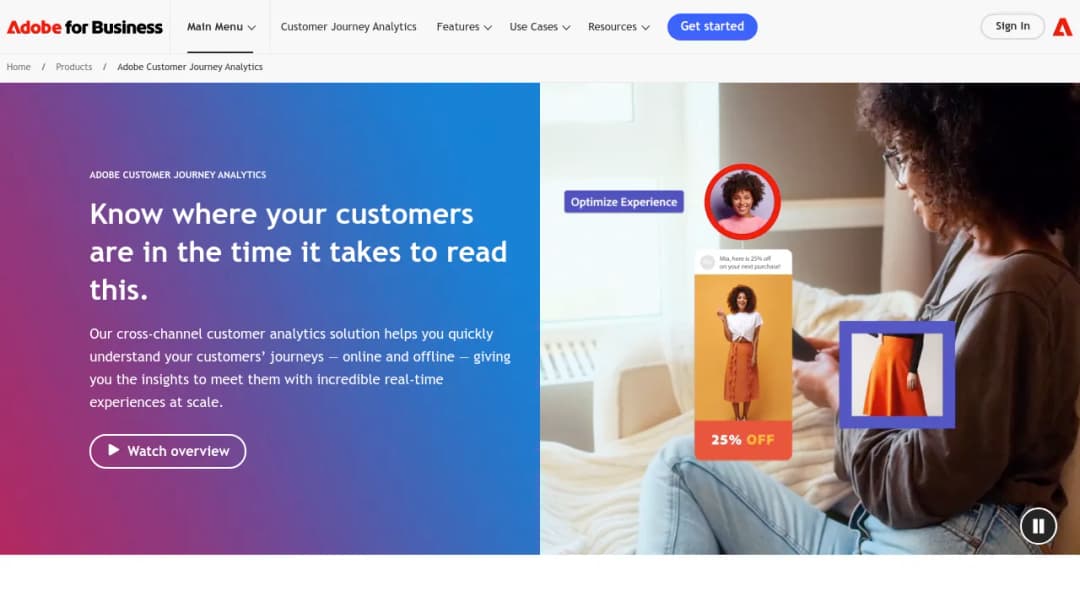 Adobe Customer Journey Analytics screenshot