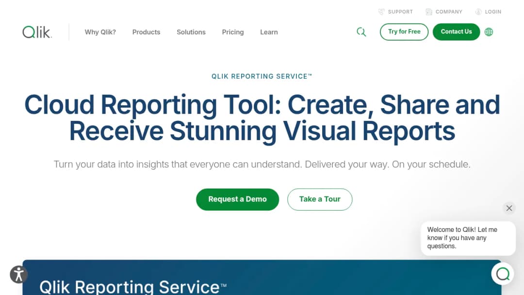 Qlik Reporting screenshot