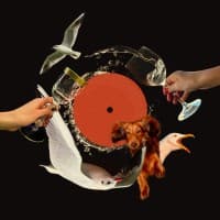 Mave