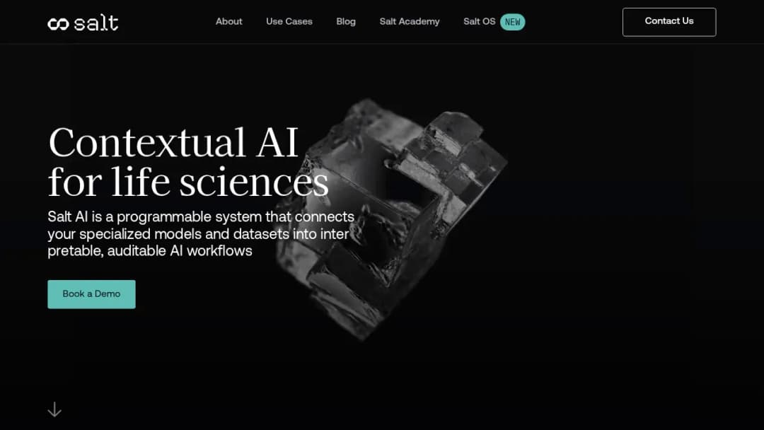 Salt AI screenshot