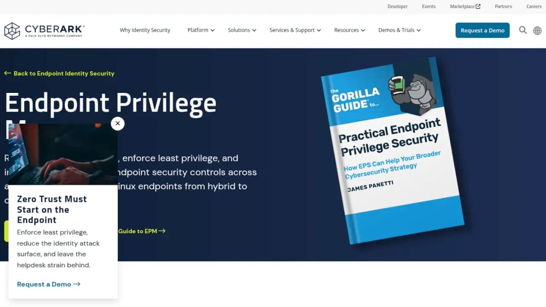 CyberArk Endpoint Privilege Manager screenshot
