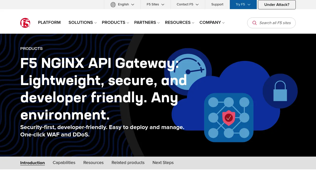 F5 API Gateway screenshot