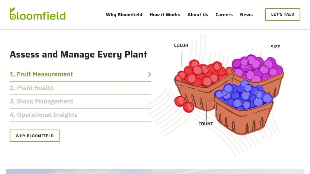 Bloomfield screenshot