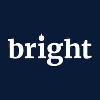 Bright Data Browser API