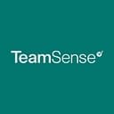 TeamSense