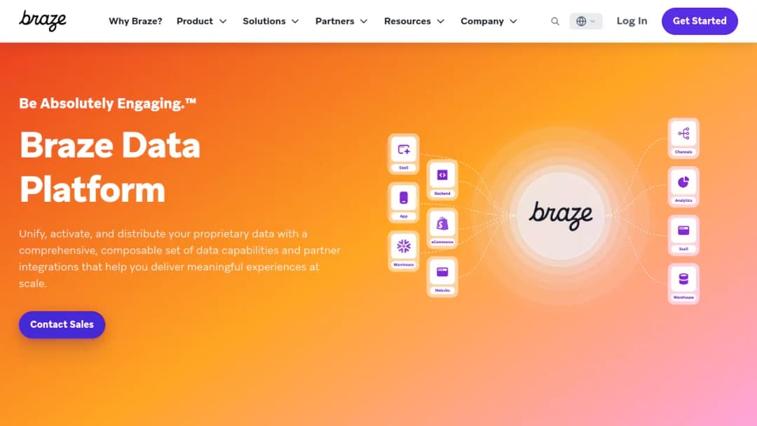 Braze Data Platform screenshot