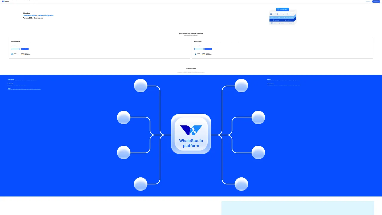 WhaleOps Technology screenshot