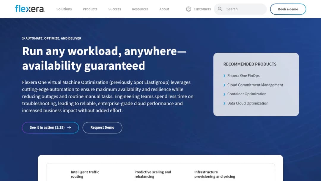 Flexera Virtual Machine Optimization screenshot