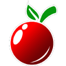 Computer Solutions Inc.
