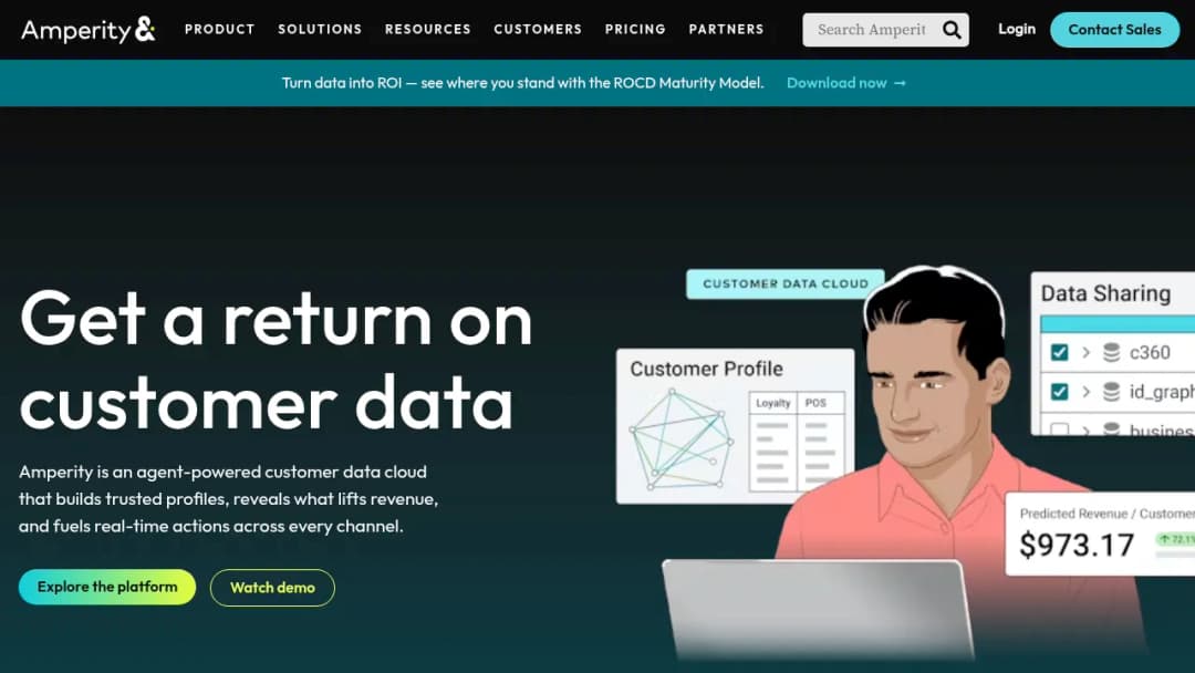 Amperity screenshot