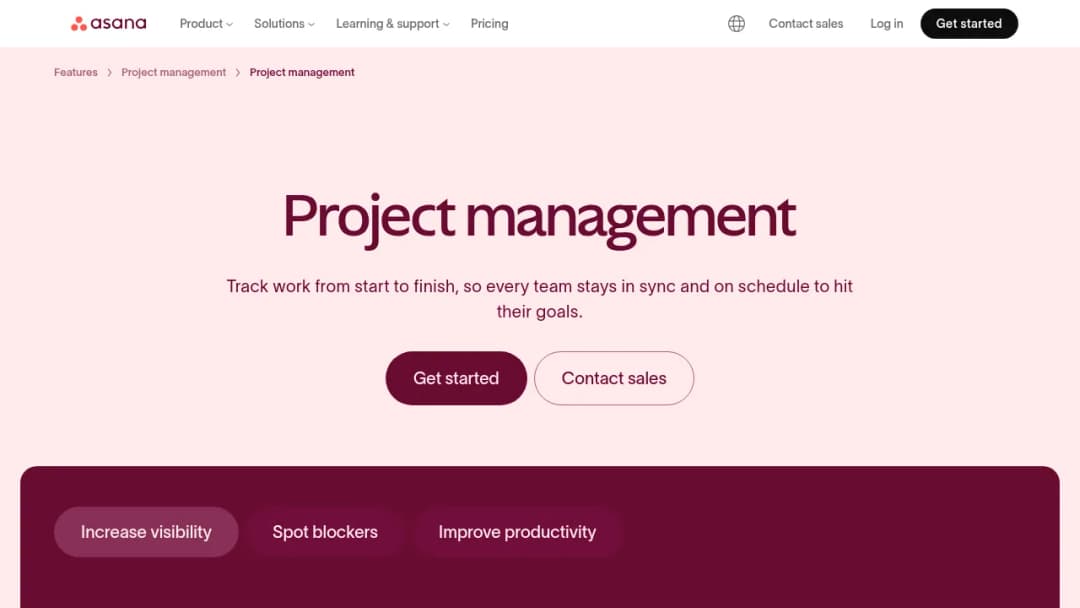 Asana Project management screenshot