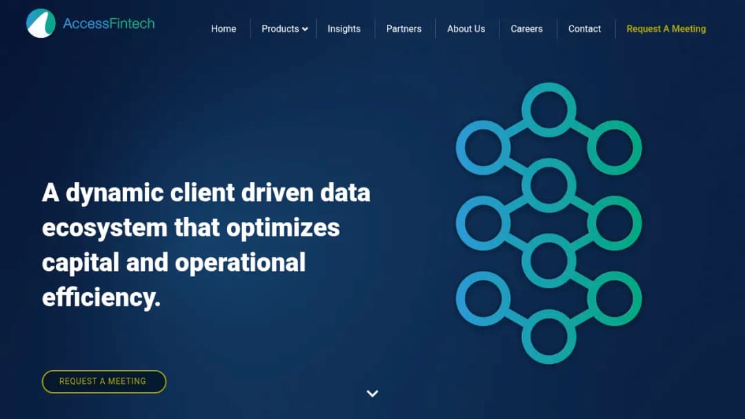 Access Fintech screenshot