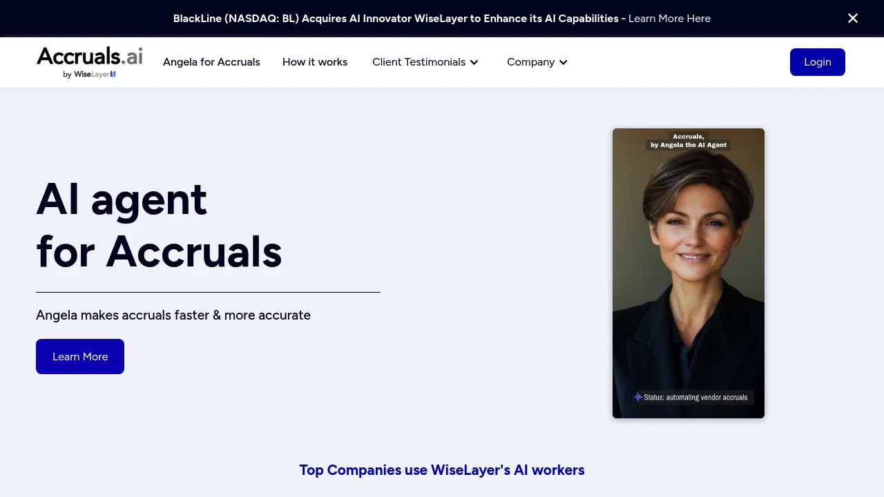 WiseLayer | makers of Accruals.ai screenshot