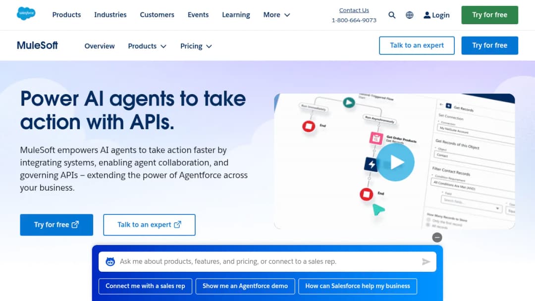 Salesforce Mulesoft screenshot
