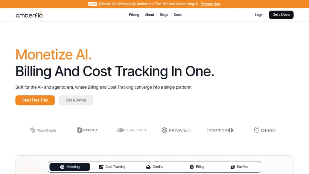 Amberflo.io screenshot