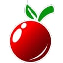 Computer Solutions Inc.