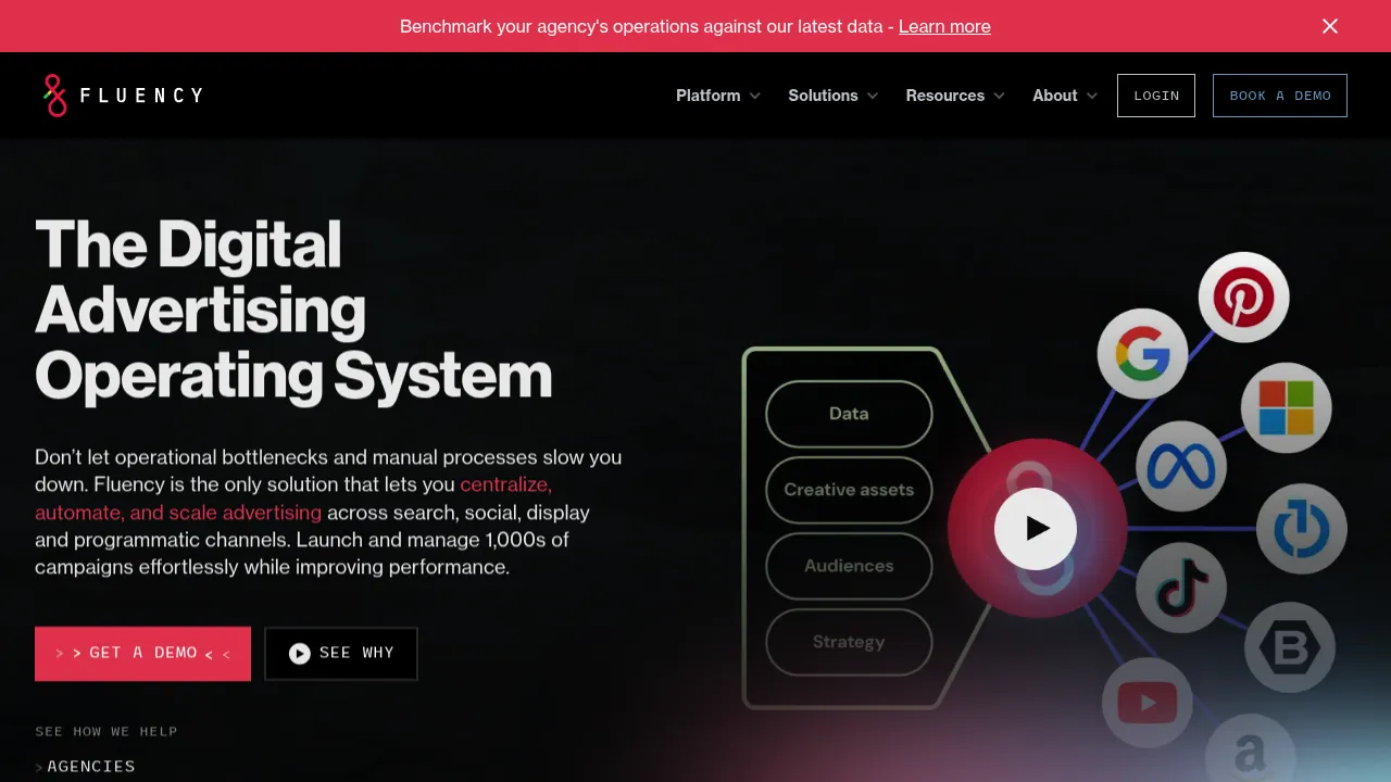Fluency screenshot