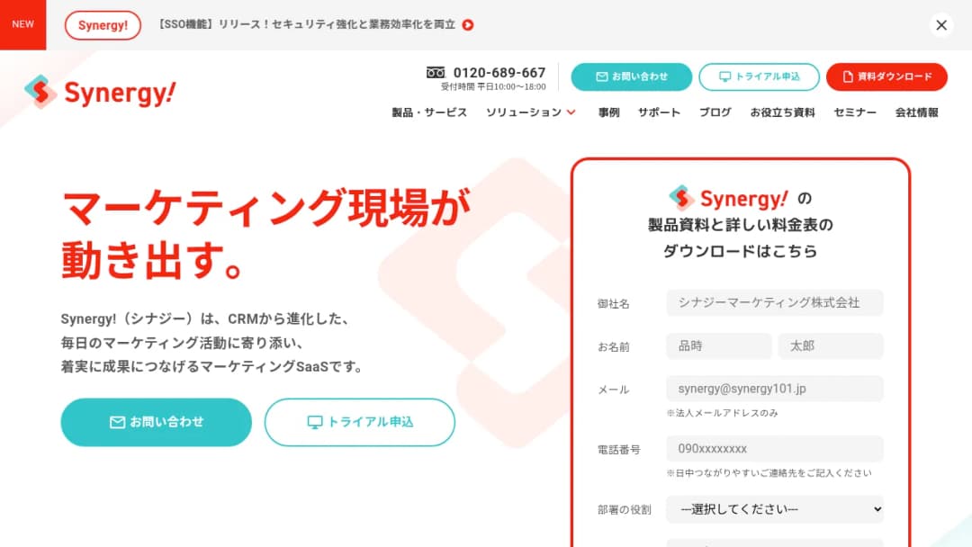 Synergy Marketing screenshot