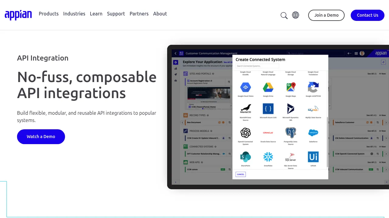 Appian API Integration screenshot