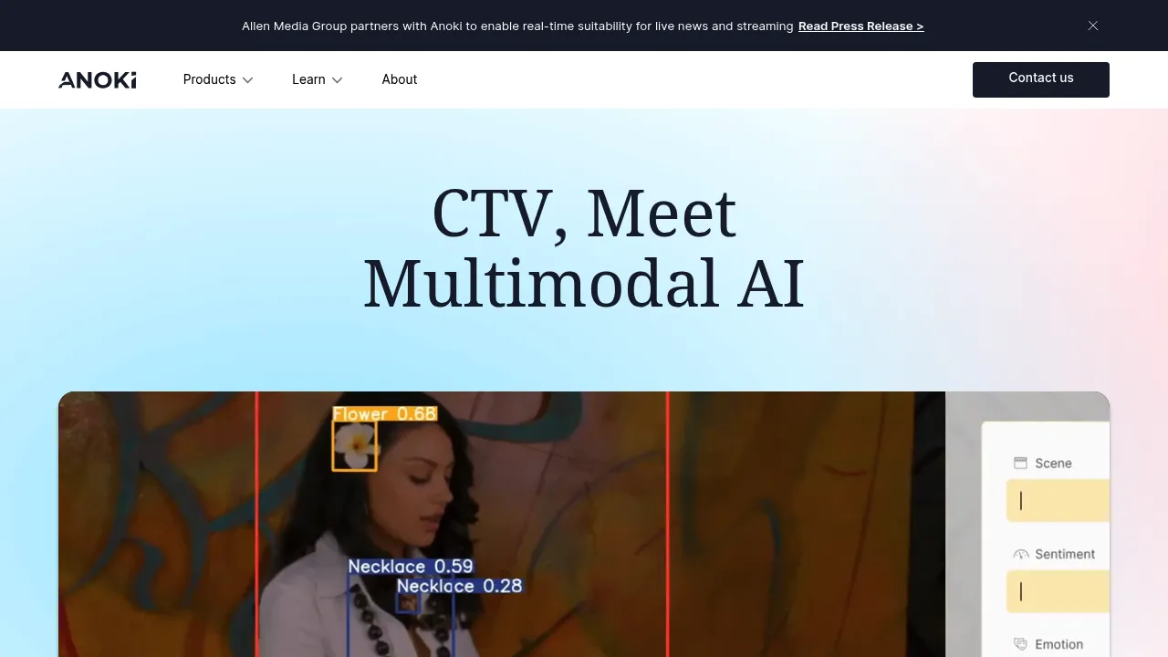 Anoki AI screenshot