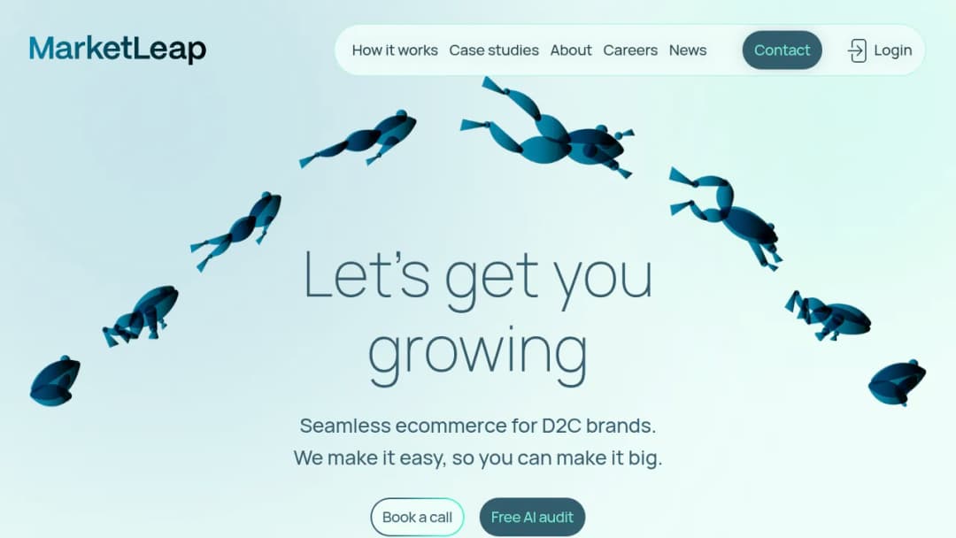 MarketLeap screenshot