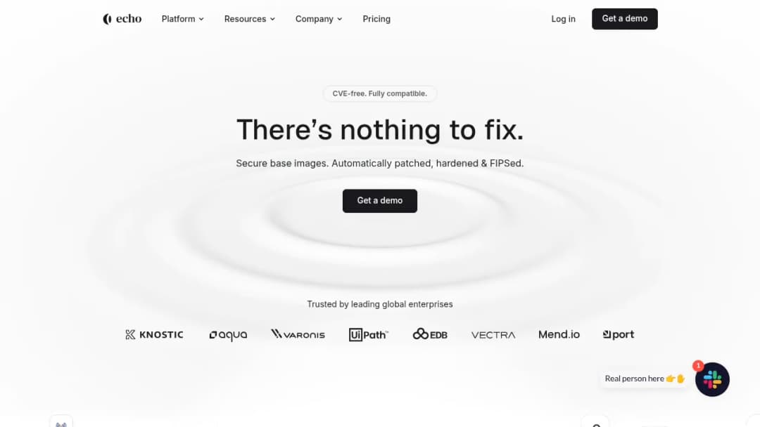 Echo Security screenshot