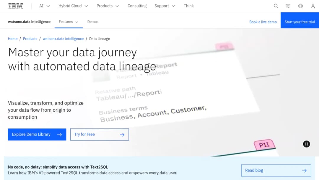 Data Lineage IBM screenshot