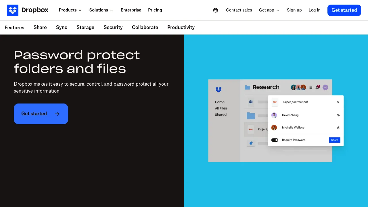 Dropbox Password protection screenshot