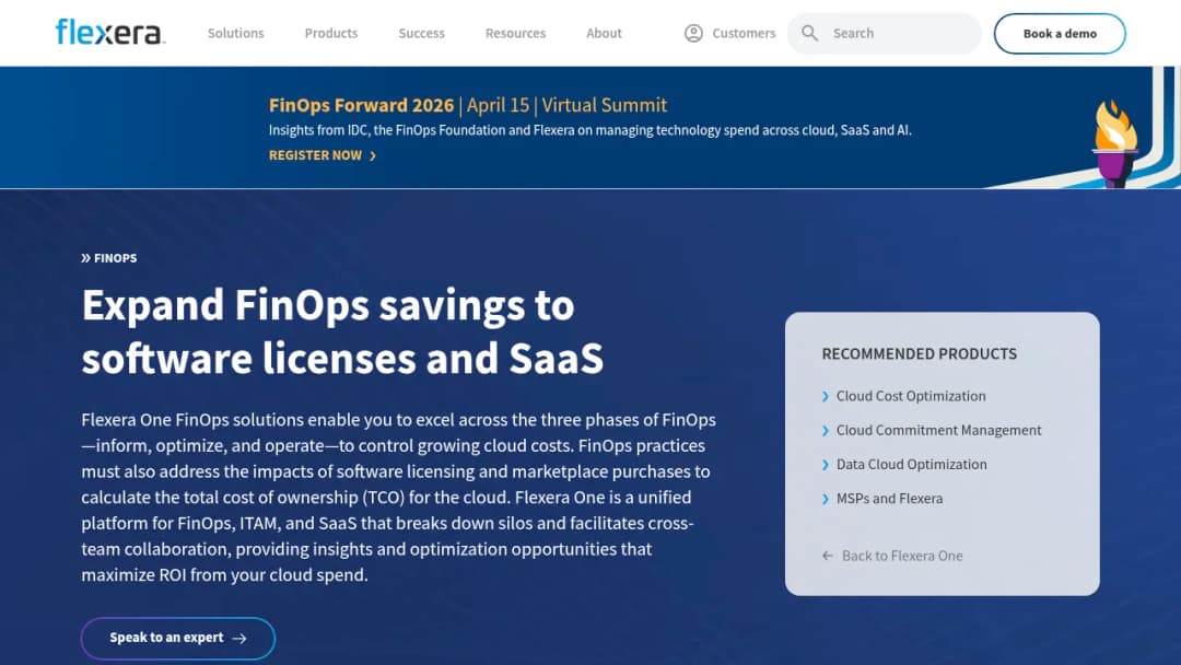 Flexera FinOps screenshot