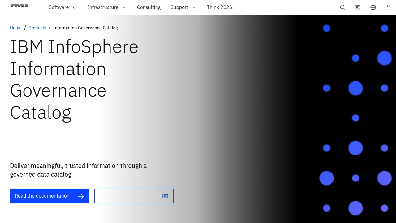 IBM Information Governance Catalog screenshot