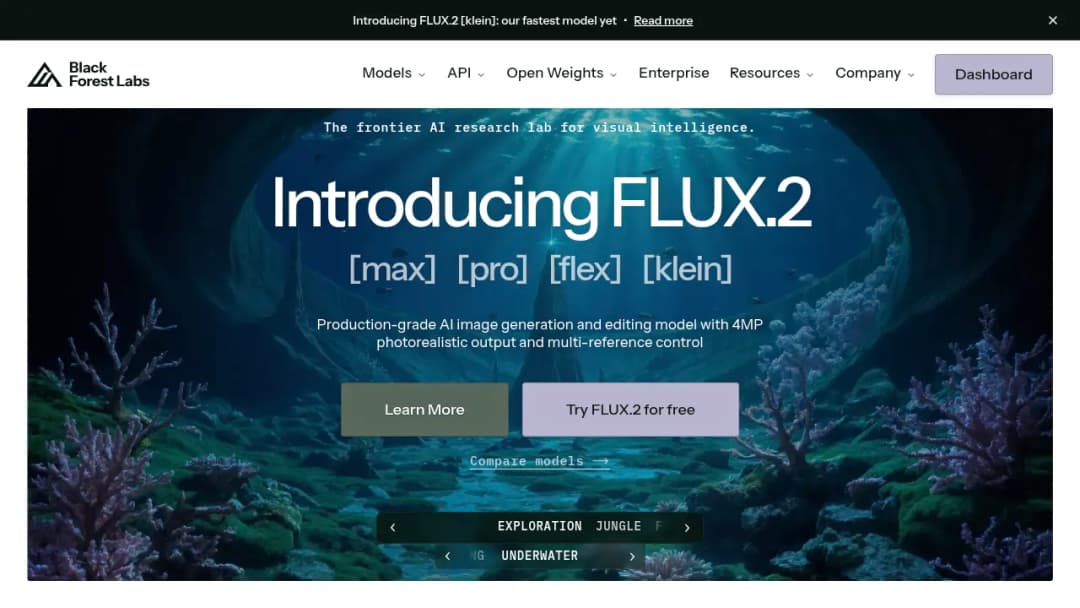 Black Forest Labs screenshot