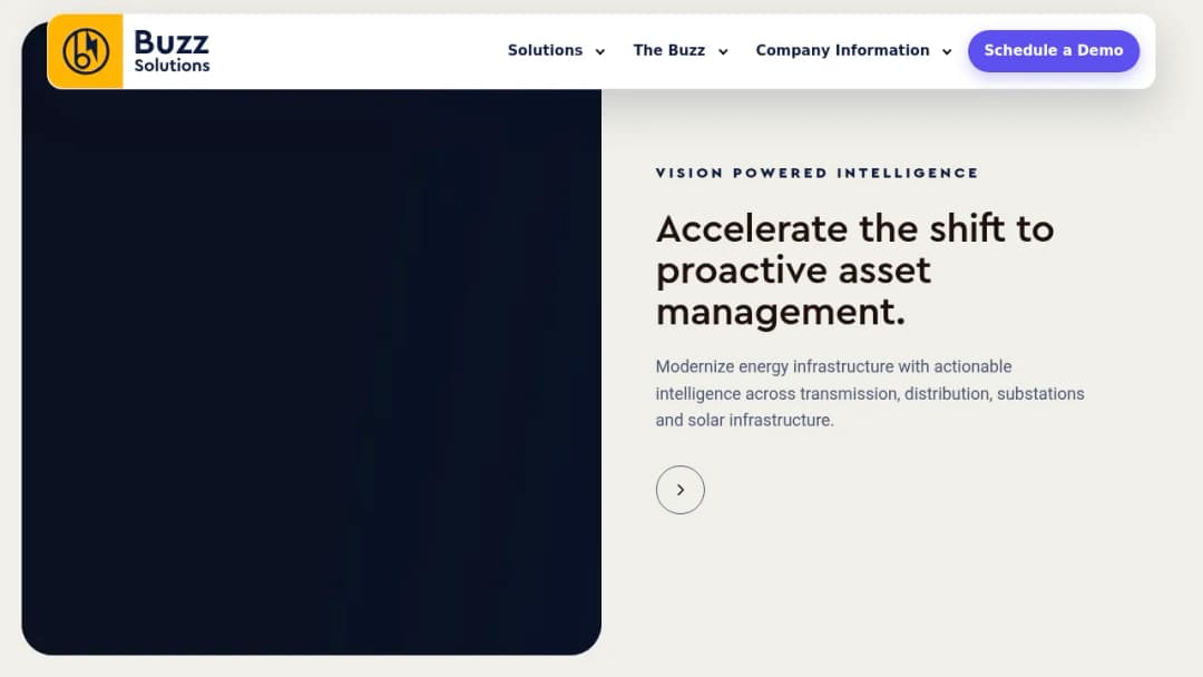 Buzz Solutions screenshot