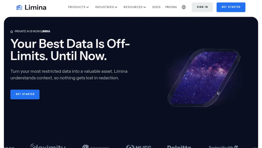 Limina (fka Private AI) screenshot