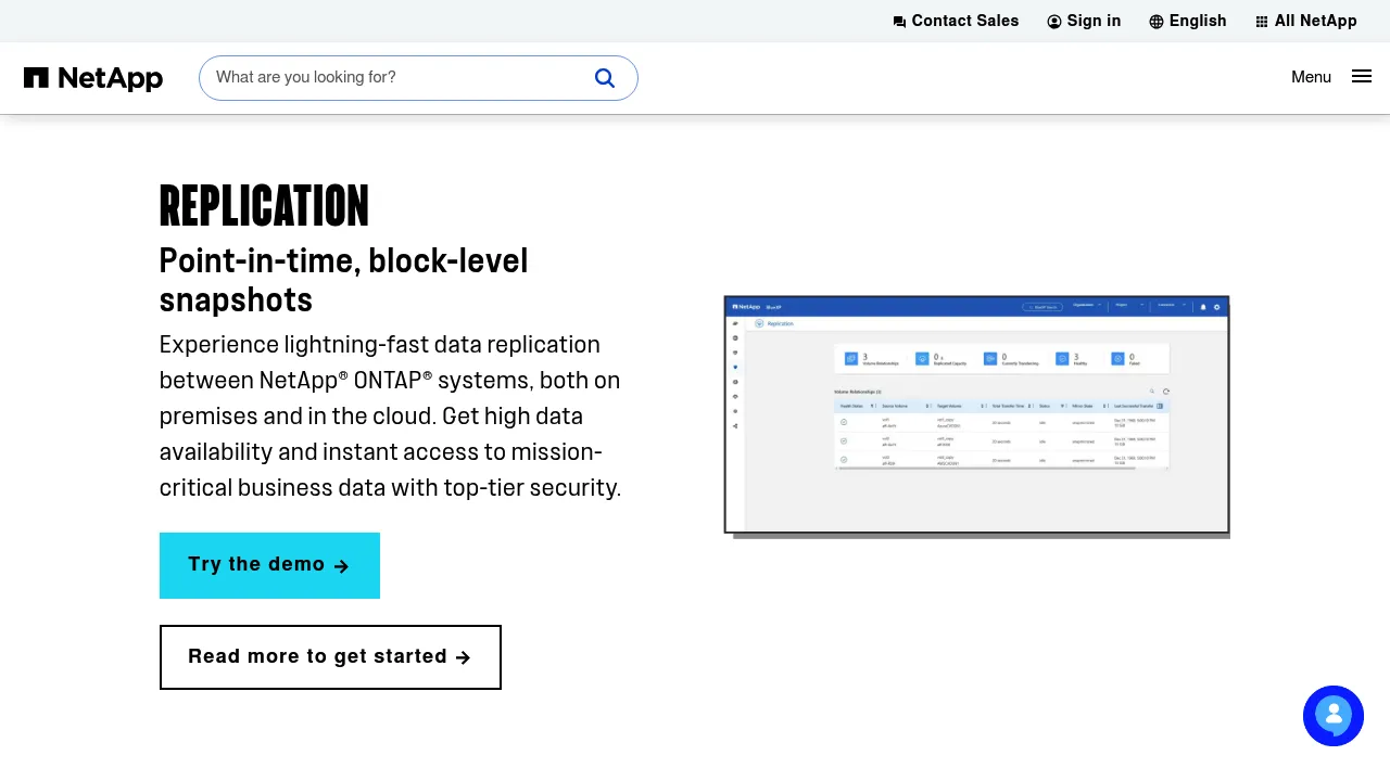 NetApp Replication screenshot