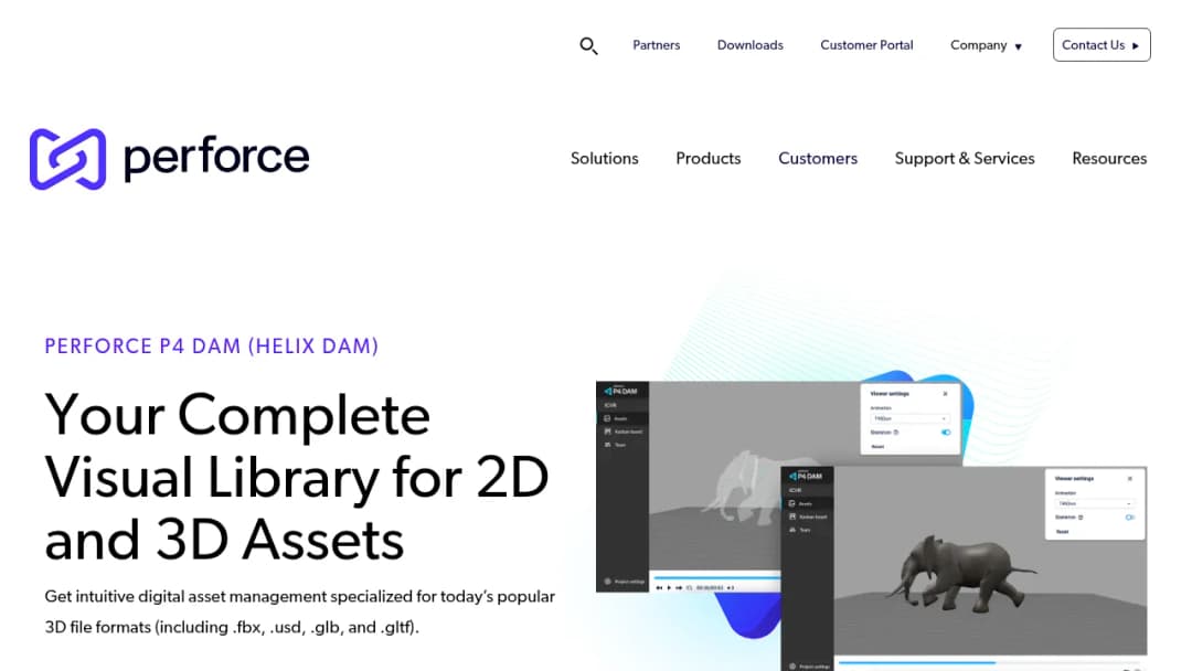 Perforce P4 DAM screenshot
