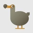 Dodo Insights